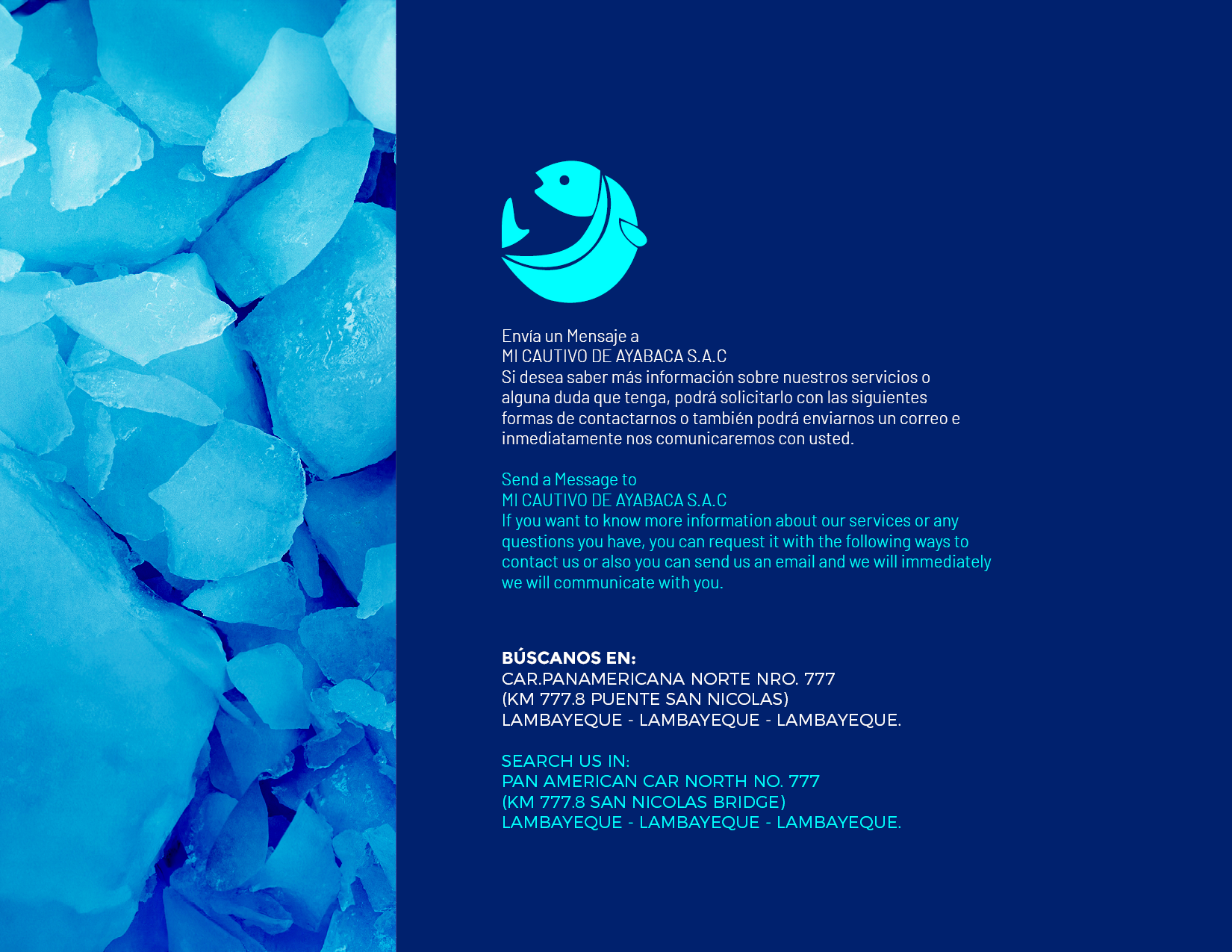 brochure 1